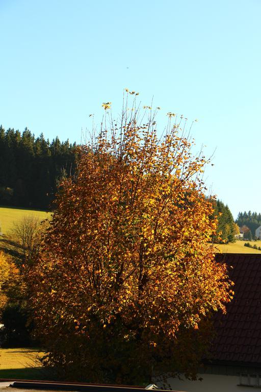 Gasthof Schwarzwaldtanne Schönwald Exterior foto
